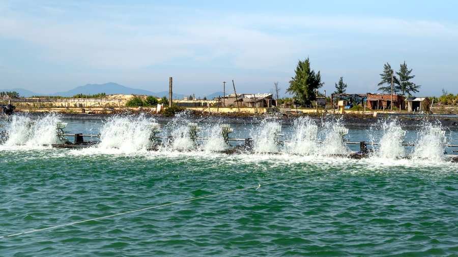 Thuỷ sản