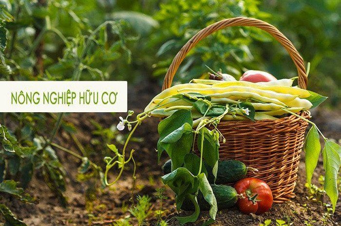 Nông nghiệp hữu cơ - Sự phát triển bền vững mọi thời đại