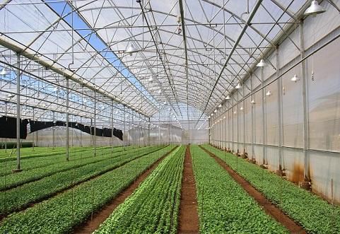 [Vũng Tàu] NextX triển khai giải pháp châm phân dinh dưỡng tự động cho Kim Long Farm  bộ Nextfarm Fertikit 4G Byppss đặc biệt 10 cổng