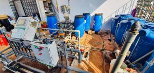 Cách trồng nho đơn giản, thành công ngay từ vụ đầu tiên