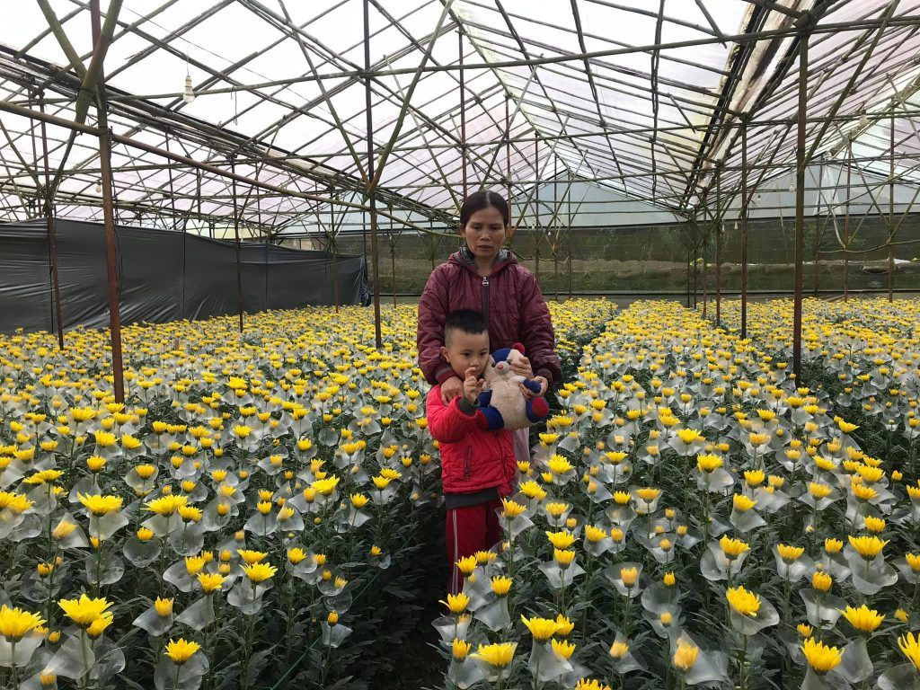 Giải pháp nông nghiệp thông minh Nextfarm - quan trắc và điều khiển vi khí hậu