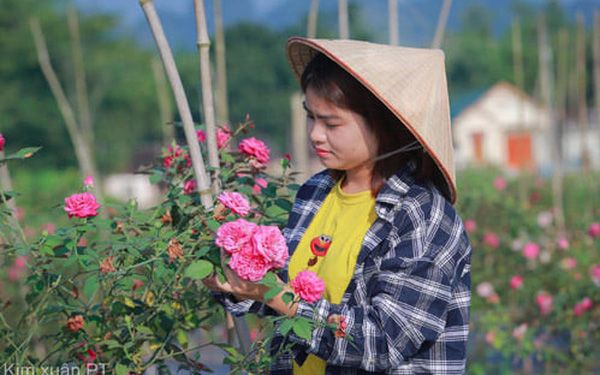 Người con của Cao Bằng đưa dâu tây Cao Bằng lên một tầm mới bằng gia đình, kiên trì và nông nghiệp thông minh