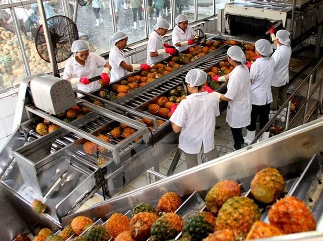 Chế biến nông sản bền vững nhờ các giải pháp công nghệ cao