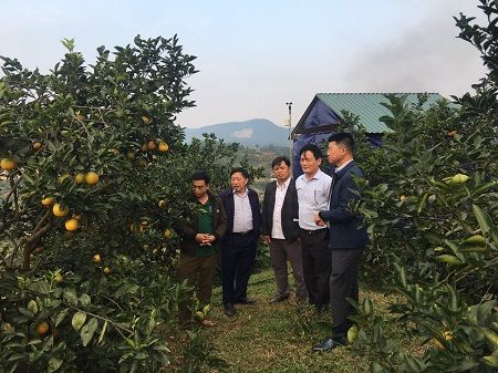 chuyển đổi số trong lĩnh vực nông nghiệp nextfarm