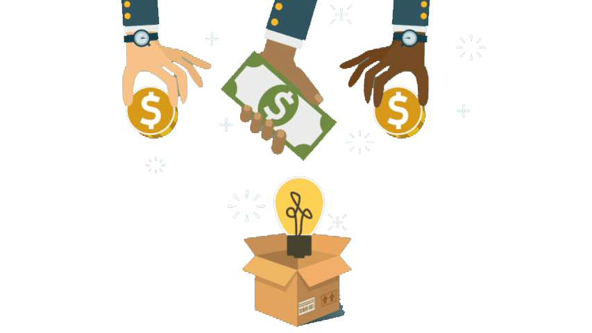 trồng sầu riêng