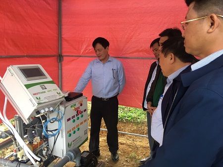 Kỹ thuật trồng, chăm sóc cây mắc ca - hiệu quả kinh tế cao