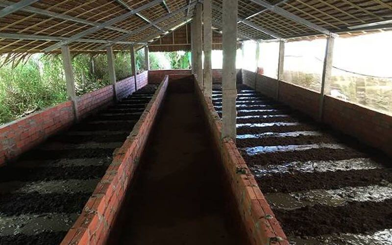 Cách nuôi trùn quế hiệu quả theo chia sẻ của chuyên gia