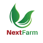 Chăn nuôi công nghệ cao – Hiệu quả kinh tế không ngờ tới