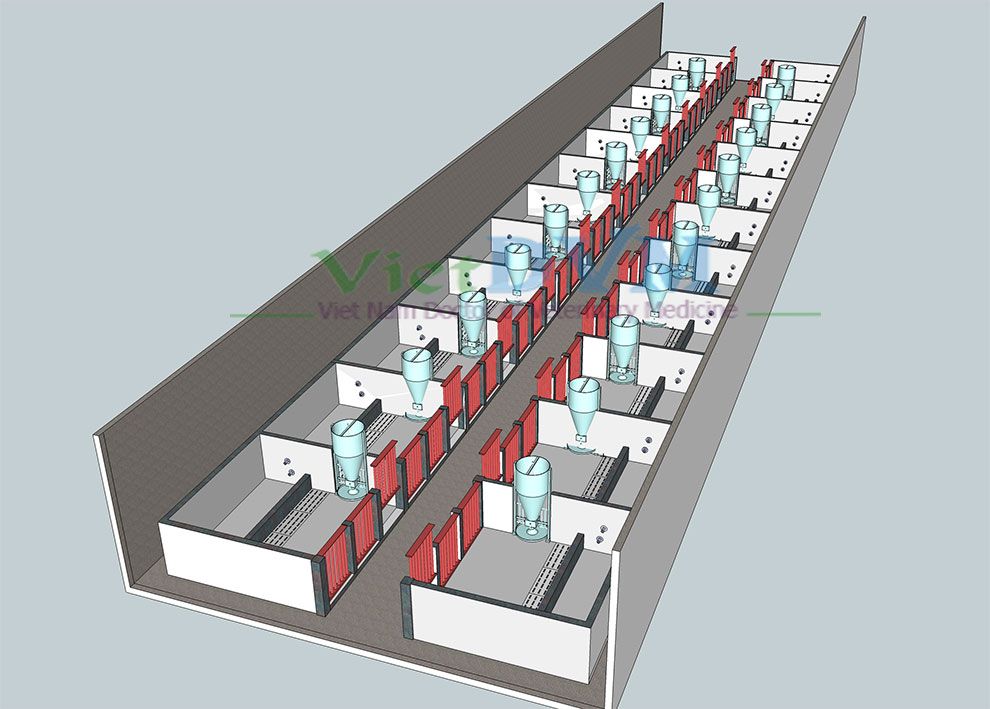 CÁC YẾU TỐ ẢNH HƯỞNG ĐẾN SINH TRƯỞNG CÂY TRỒNG