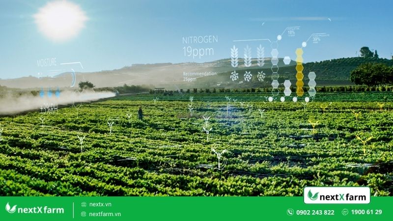 Top 7+ sức mạnh của AI cho nền nông nghiệp bạn đã biết chưa?