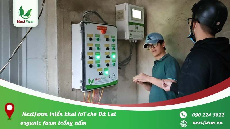 NextX triển khai IoT cho Đà Lạt organic farm trồng nấm