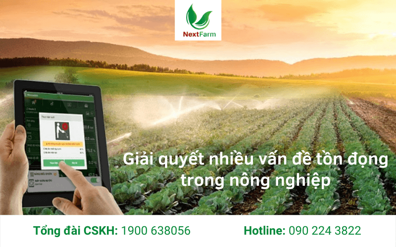 Mô hình chuyển đổi số hiệu quả sẽ giải quyết nhiều vấn đề