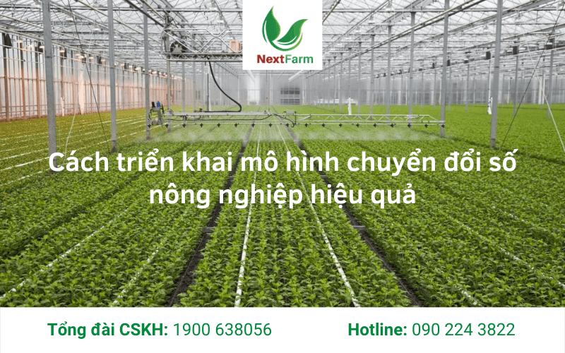 Bí quyết chuyển đổi số nông nghiệp thành công