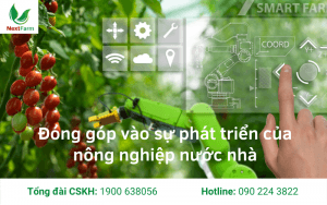 5 lưu ý khi triển khai nông nghiệp thông minh ở Việt Nam