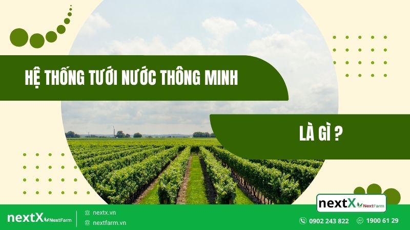 Hệ thống tưới nước thông minh NextX NextFarm tốt nhất thị trường