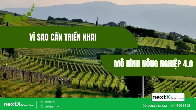 hiệu quả nông nghiệp 4.0