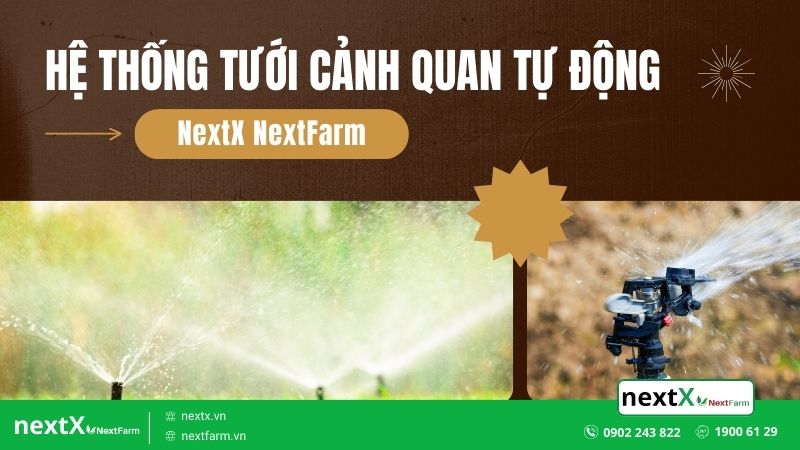 Bật mí cho bạn 7 mô hình nông nghiệp hiện đại nhất trên thế giới