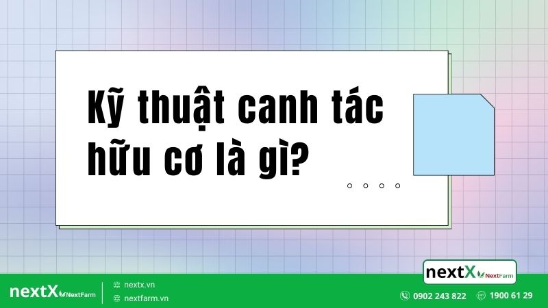 Top 5 kỹ thuật canh tác hữu cơ phổ biến nhất trong nông nghiệp
