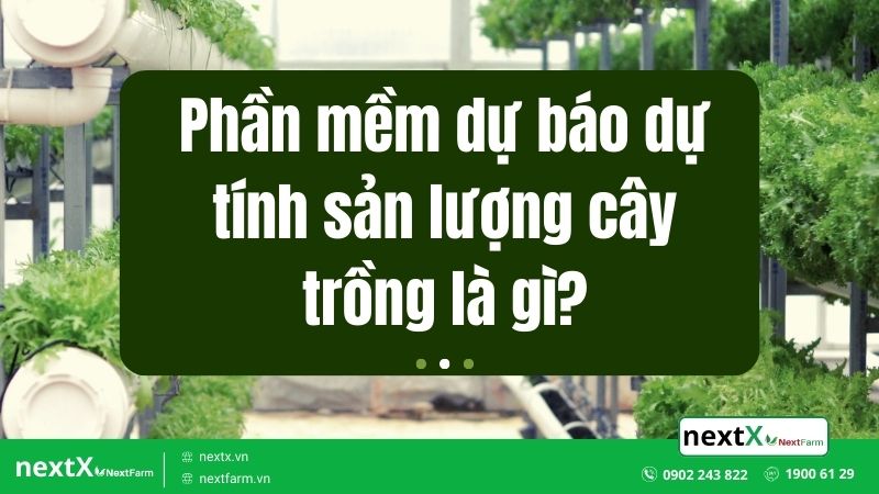 phần mềm dự báo dự tính sản lượng cây trồng
