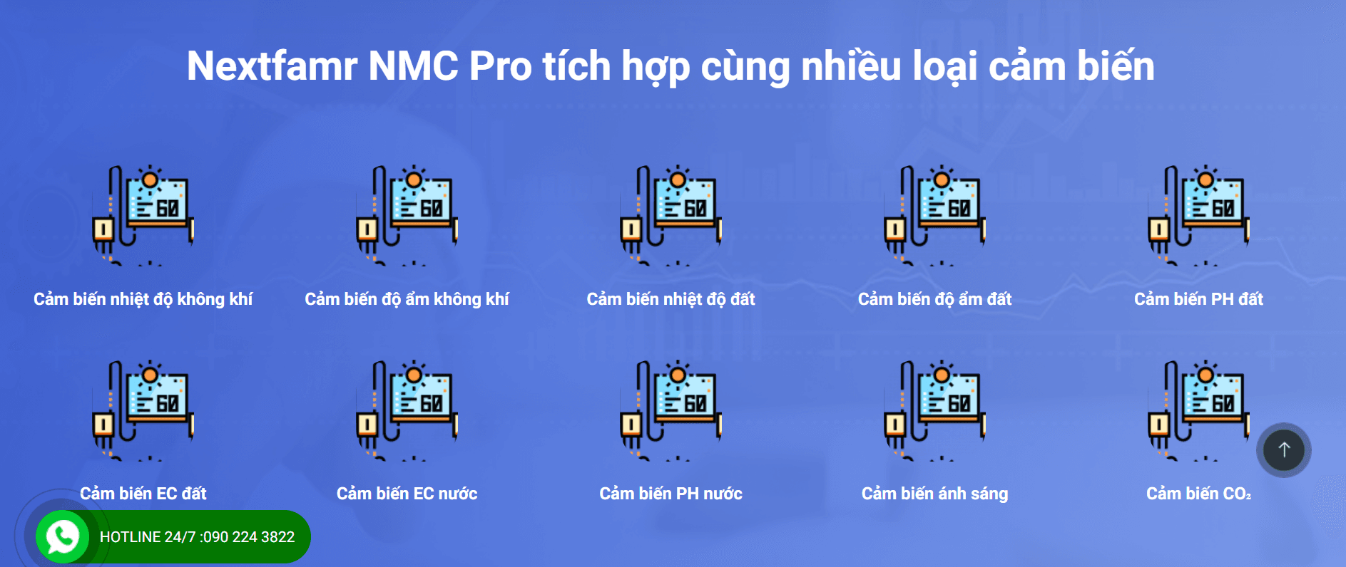Trồng rau thủy canh và chìa khóa để thành công