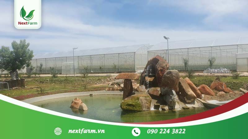 Nextfarm triển khai 2 bộ Nextfarm Fertikit 4G cho Năng lượng Việt Farm Ninh Thuận