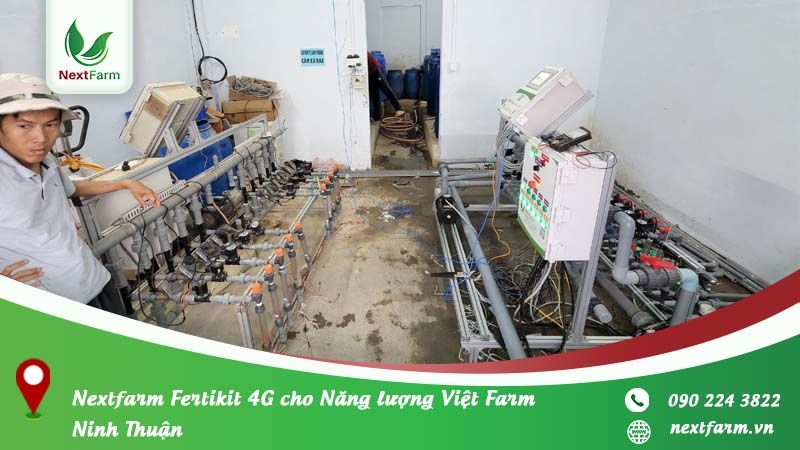 NextX triển khai 2 bộ NextX Farm Fertikit 4G cho Năng lượng Việt Farm Ninh Thuận