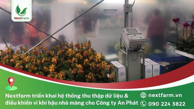 [Hà Nội] NextX triển khai hệ thống thu thập dữ liệu và điều khiển vi khí hậu nhà màng cho Công ty An Phát