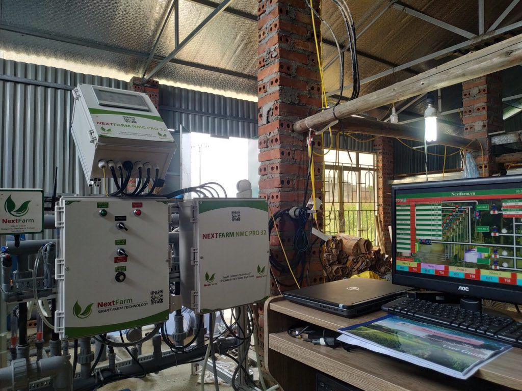 Trồng dâu tây hiệu quả