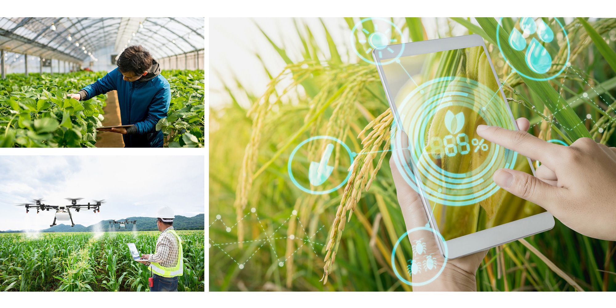 chuyen doi so - nong nghiep