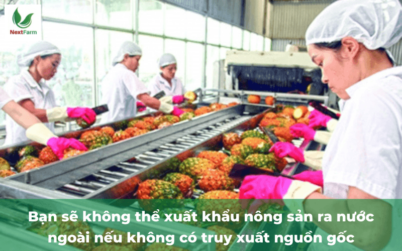 Hệ thống giải pháp truy xuất nguồn gốc nông sản thực phẩm là gì? Lợi ích mà truy xuất nguồn gốc đem lại