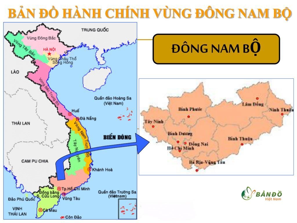 Lợi thế vượt trội của nông nghiệp vùng Đông Nam Bộ nước ta
