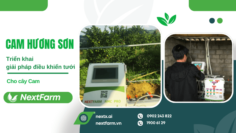 Nextfarm triển khai giải pháp điều khiển dinh dưỡng tưới cho Cam Hương Sơn