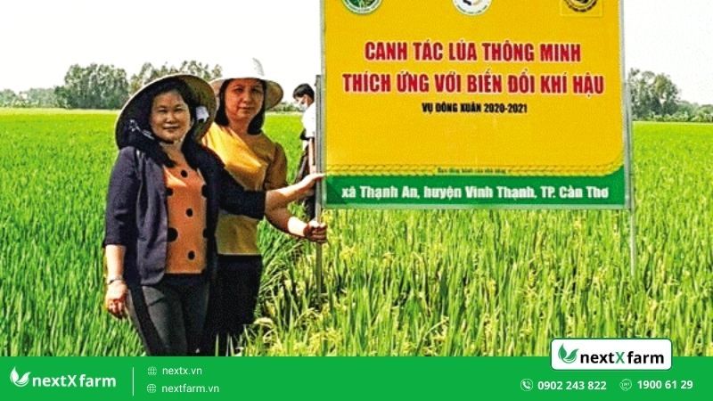 canh tác thông minh