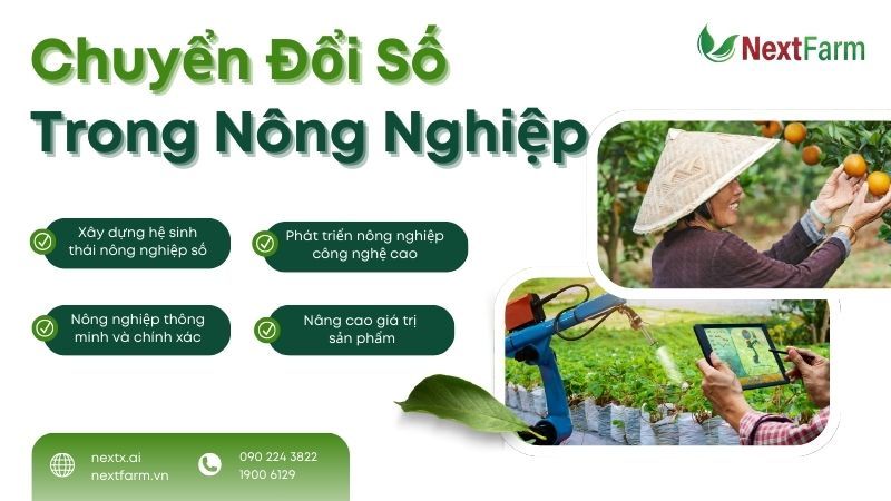 Khám phá 5 hệ thống giám sát nông nghiệp thông minh nhất hiện nay