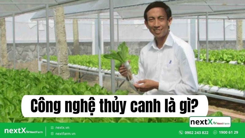 công nghệ thủy canh