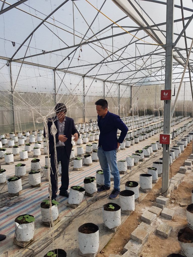 Triển khai thành công Giải pháp Nông nghiệp thông minh 4.0 NextX cho HTX Đại Đoàn Kết tại Hà Đông