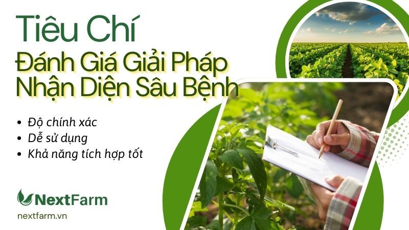 Tiêu chí đánh giá giải pháp nhận diện sâu bệnh bằng hình ảnh