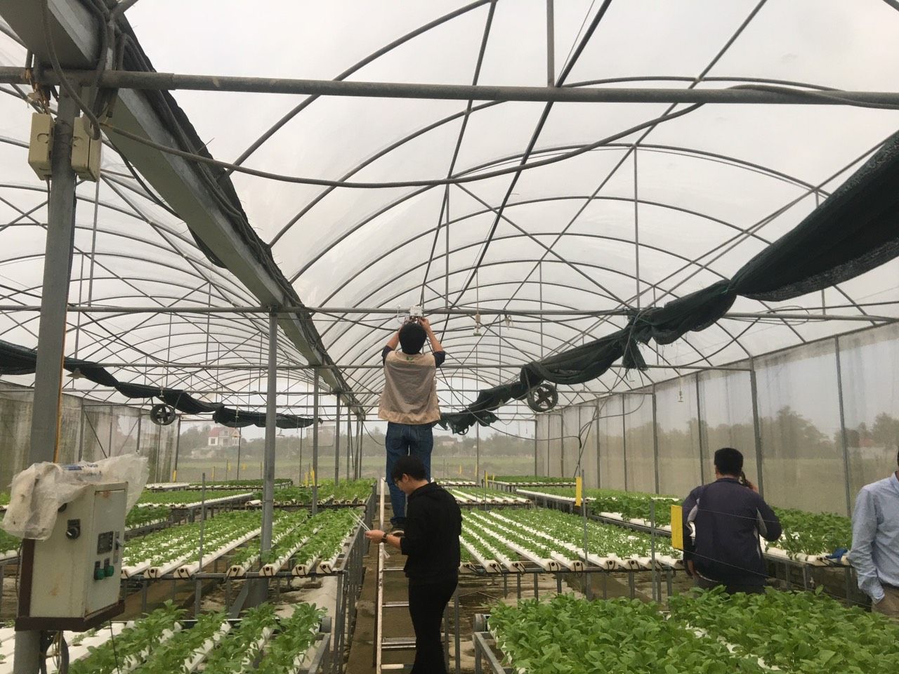 [Hà Tĩnh] - NextX triển khai hệ thống quan trắc và điều khiển vi khí hậu nhà kính cho Viện KHKT Nông nghiệp Bắc Trung Bộ