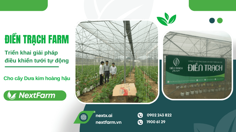 Nông nghiệp công nghệ cao – xu hướng mới của nền nông nghiệp Việt Nam