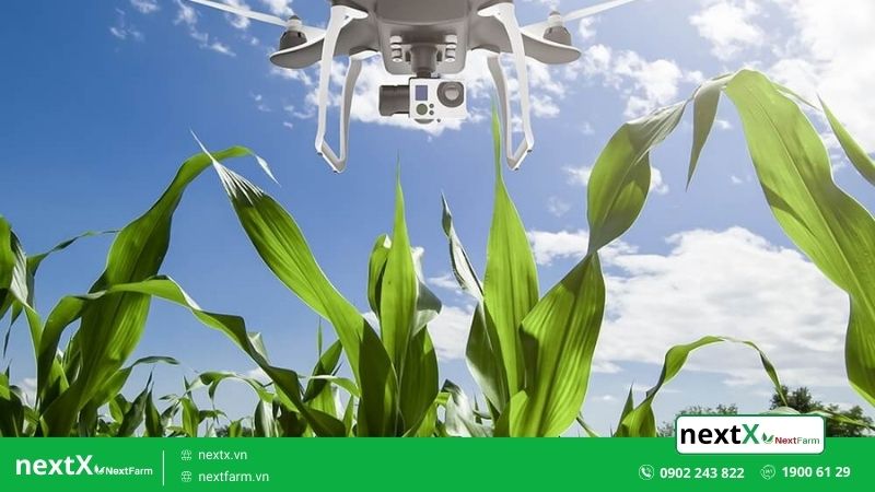 Mách bạn 5 ứng dụng drone máy bay không người lái trong nông nghiệp