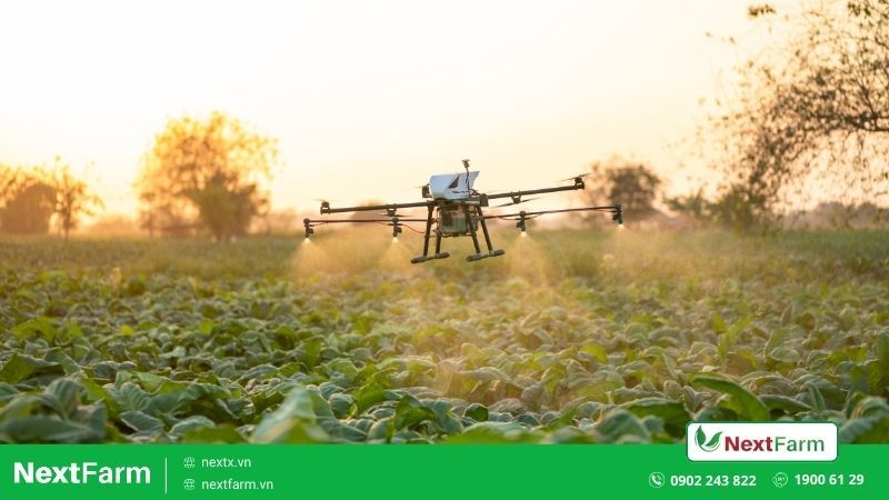 Drone và vệ tinh – Giám sát và quản lý từ trên cao