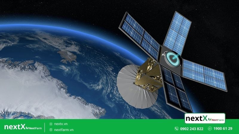 dự báo sản lượng nông nghiệp qua hình ảnh vệ tinh
