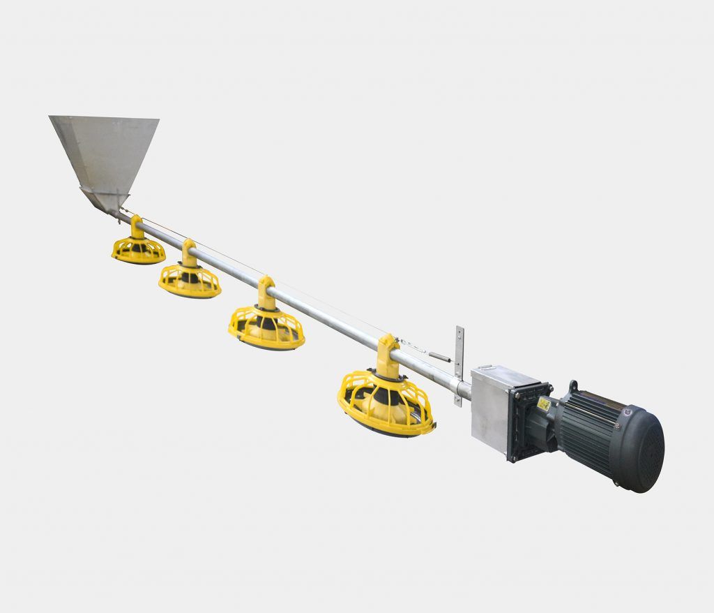 Đường ăn cho gà: