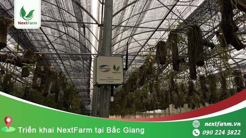 NextX triển khai hệ thống cảnh báo môi trường cho nông nghiệp tại nhà lưới Yên Dũng Bắc Giang