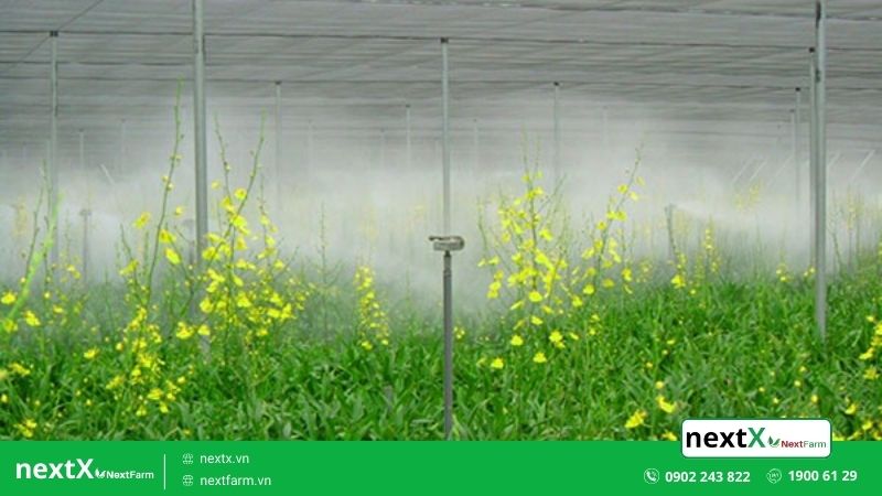 hệ thống tưới
