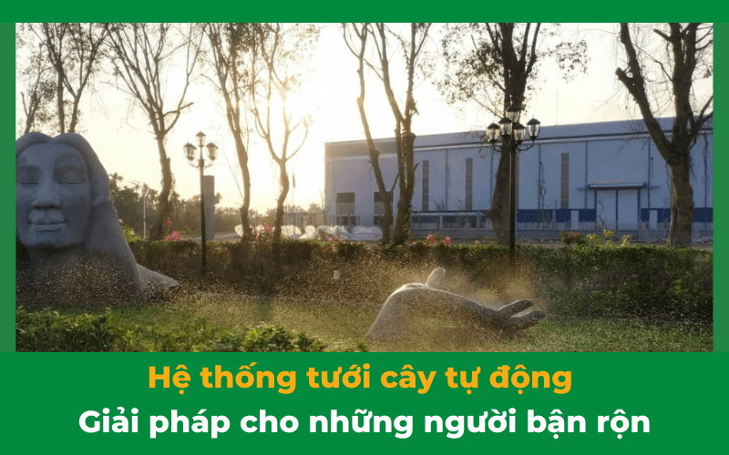 Hệ thống tưới cây tự động - giải pháp cho những người bận rộn