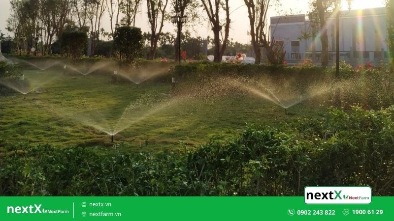 hệ thống tưới cỏ tự động