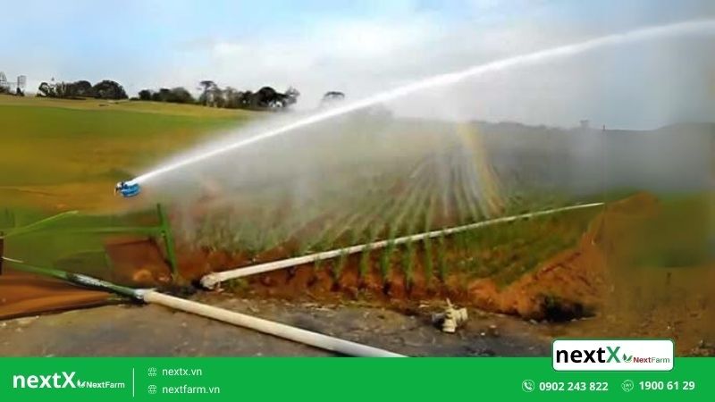 hệ thống tưới phun mưa