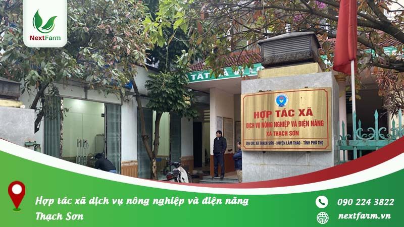 NextX triển khai chuyển đổi số nông nghiệp cho hợp tác xã dịch vụ nông nghiệp và điện năng Thạch Sơn