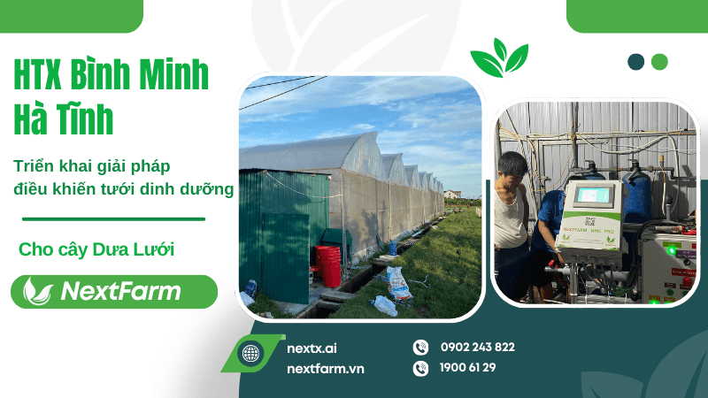 Nextfarm triển khai giải pháp điều khiến tưới dinh dưỡng cho HTX Bình Minh Hà Tĩnh